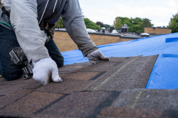 Best Emergency Roof Repair  in Eastpointe, MI